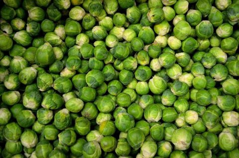 8 Science-Backed Benefits of Brussels Sprouts (Easter Brunch Recipe Included)