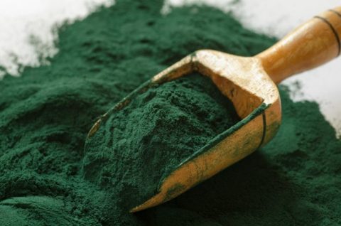 8 Reasons to Add Spirulina to Your Diet Today
