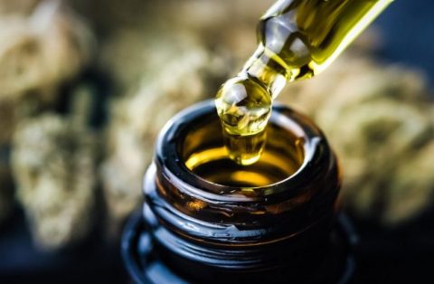 Is Hemp Oil Safe, Effective, and Healthy? Read this First