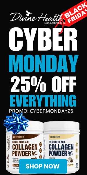 Cyber Monday 300 x 600