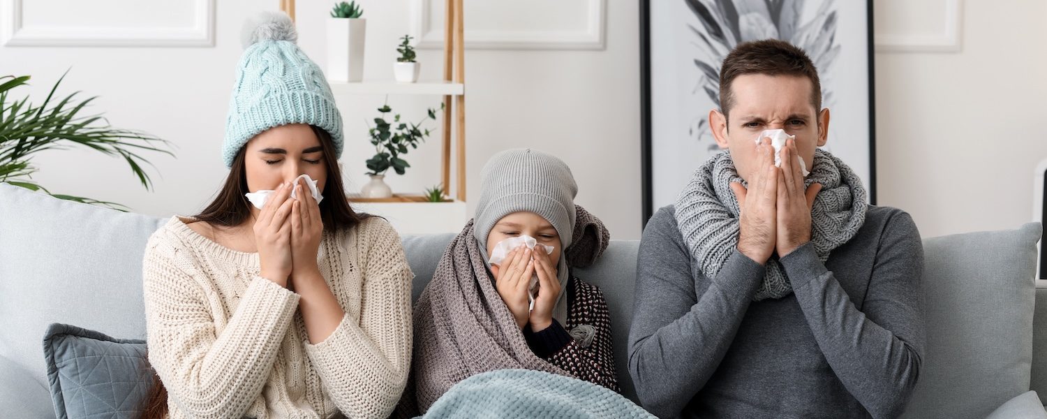 6 Integrative and Natural Strategies to Prepare and Combat the Flu