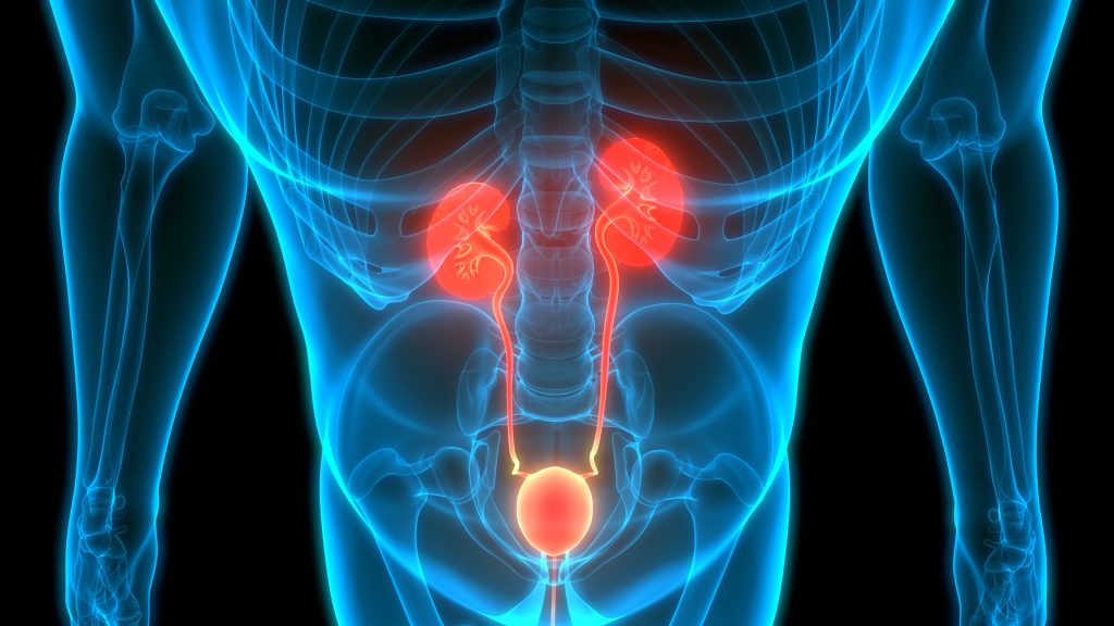 7. Prostate Health Becomes a Family Matter