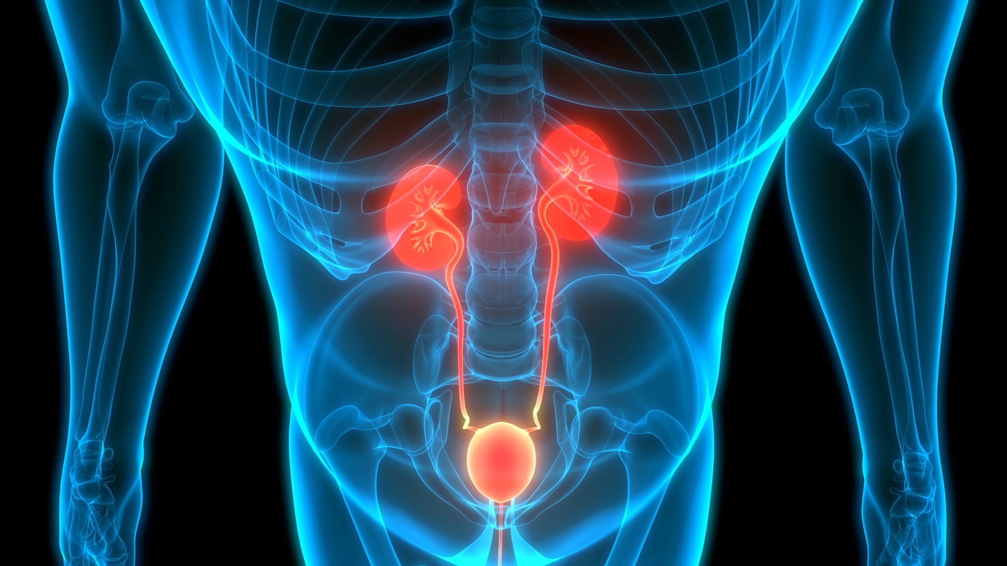 10 Questions Men Ask About Prostate Health 2000 x 1200